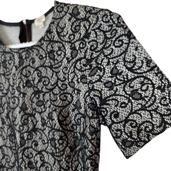 Aritzia Wilfred Lace Mignonne Lace dress - Picture 4 of 6